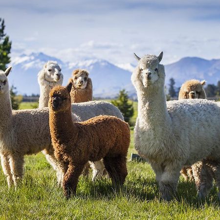 Criffel Station Farmstays Luggate Luaran gambar